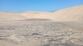 GC-Playa de Maspalomas 2026-142.jpg